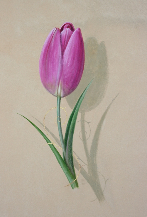 Tulipio