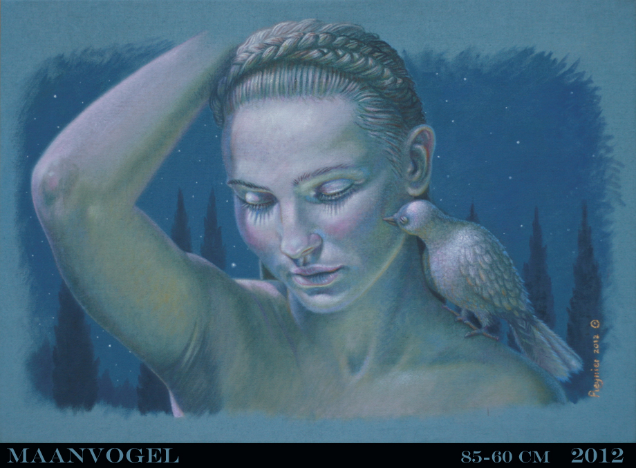Maanvogel
